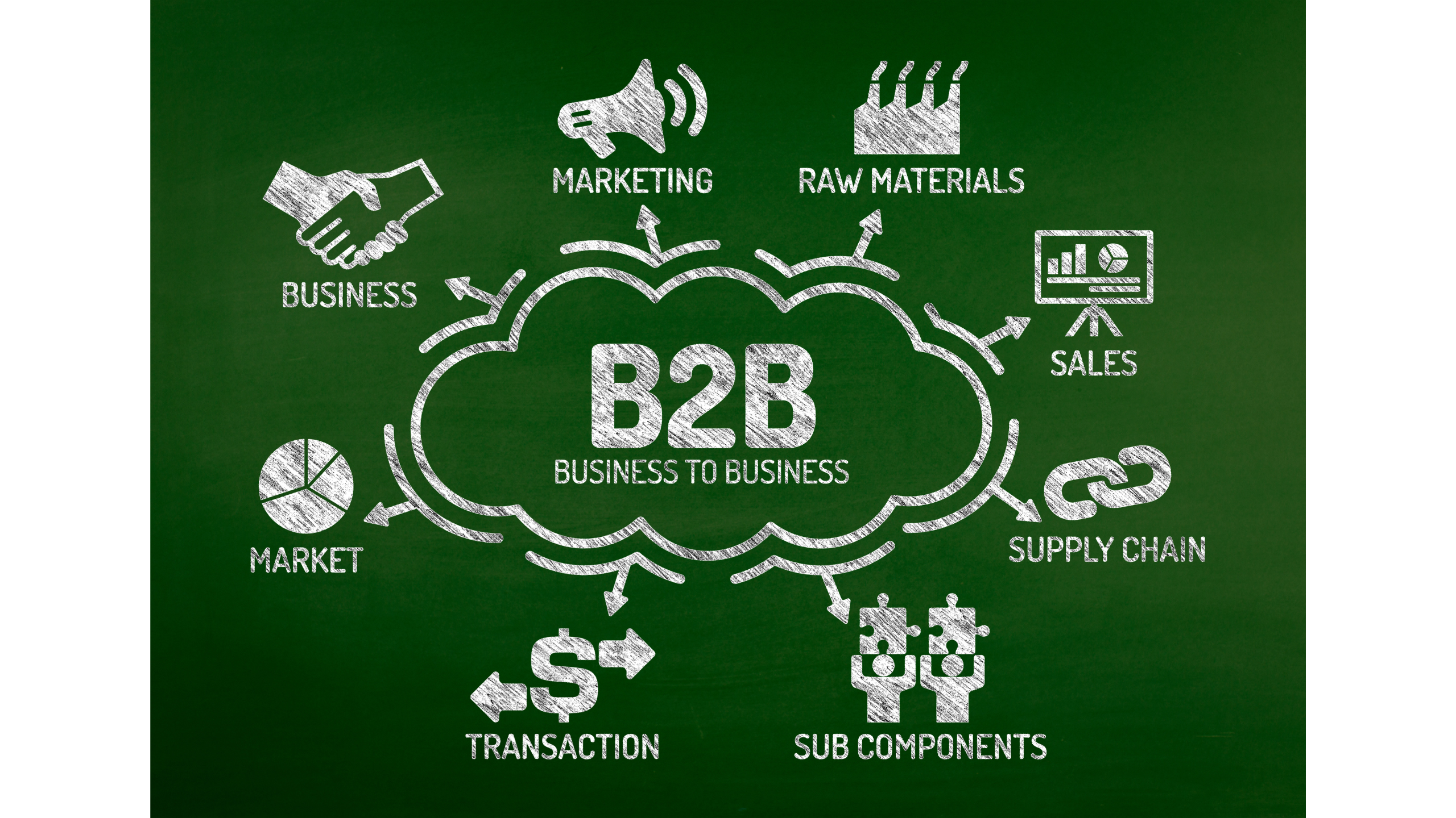 B2B Contact Database