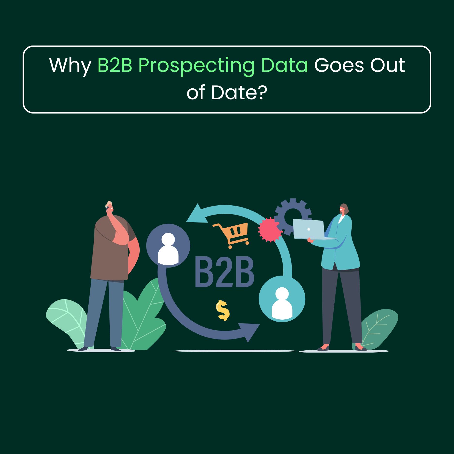B2B Prospecting Data